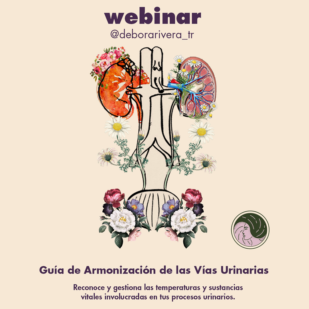 webinar-guia-armonizacion-de-las-vias-urinarias